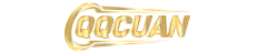 vs-logo-img
